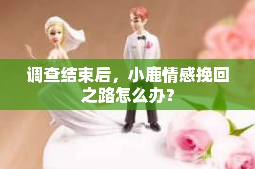 调查结束后，小鹿情感挽回之路怎么办？