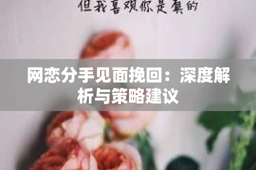 网恋分手见面挽回：深度解析与策略建议