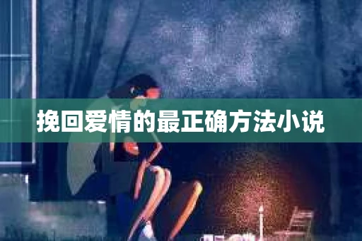 挽回爱情的最正确方法小说