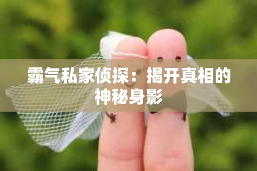 霸气私家侦探：揭开真相的神秘身影
