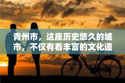 青州市，这座历史悠久的城市，不仅有着丰富的文化遗产，也有着现代生活的便捷。那么，问题来了——青州市有私家侦探公司吗？这个问题，对于需要侦探服务的人来说，无疑至关重要。接下来，我就来为大家揭开这个谜底。