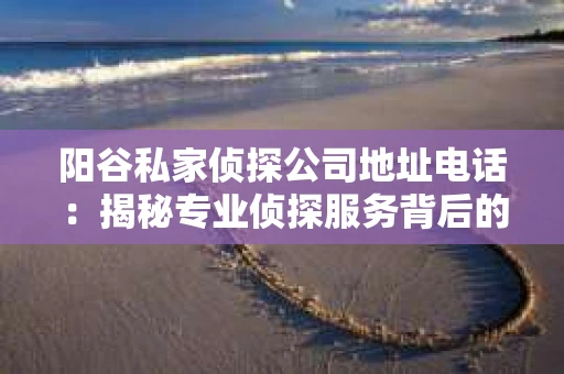 阳谷私家侦探公司地址电话：揭秘专业侦探服务背后的故事