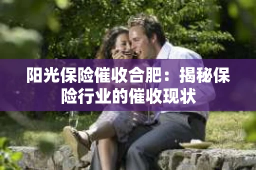 阳光保险催收合肥：揭秘保险行业的催收现状