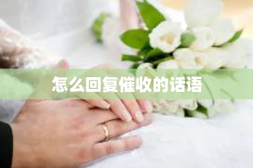 怎么回复催收的话语