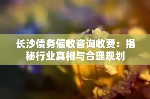 长沙债务催收咨询收费：揭秘行业真相与合理规划