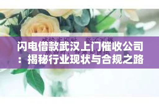 闪电借款武汉上门催收公司：揭秘行业现状与合规之路