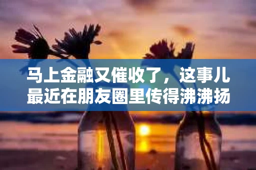 马上金融又催收了，这事儿最近在朋友圈里传得沸沸扬扬。说实话，我也有点好奇，这马上金融到底是怎么回事？催收又是怎么一回事？今天，我就来跟大家聊聊这个话题。