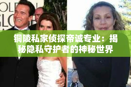 铜陵私家侦探帝诚专业：揭秘隐私守护者的神秘世界