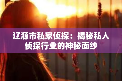 辽源市私家侦探：揭秘私人侦探行业的神秘面纱