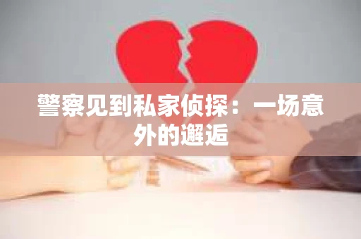 警察见到私家侦探：一场意外的邂逅
