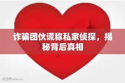 诈骗团伙谎称私家侦探，揭秘背后真相