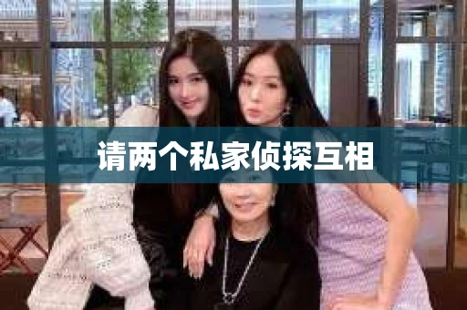 请两个私家侦探互相