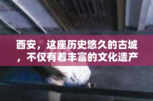 西安，这座历史悠久的古城，不仅有着丰富的文化遗产，也有着现代社会的各种需求。今天，我们就来聊聊一个比较特别的话题——西安有没有私家侦探。