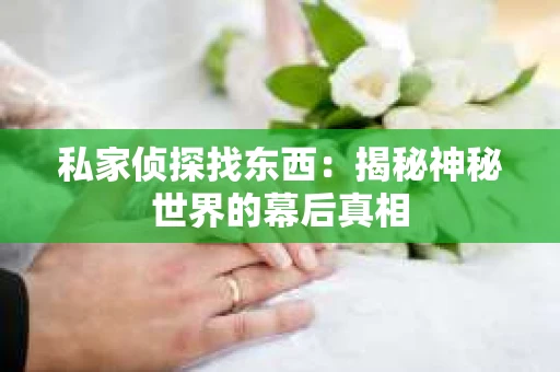 私家侦探找东西：揭秘神秘世界的幕后真相