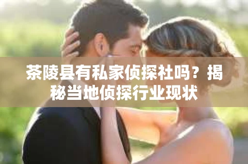 茶陵县有私家侦探社吗？揭秘当地侦探行业现状