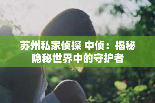 苏州私家侦探 中侦：揭秘隐秘世界中的守护者