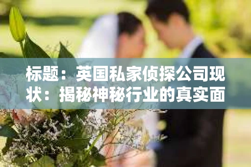 标题：英国私家侦探公司现状：揭秘神秘行业的真实面貌
