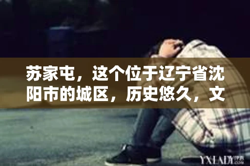 苏家屯，这个位于辽宁省沈阳市的城区，历史悠久，文化底蕴深厚。近年来，随着社会的发展，人们对于私家侦探的需求也逐渐增加。那么，苏家屯有私家侦探吗？今天，我们就来聊聊这个话题。