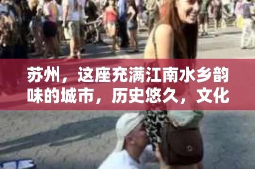 苏州，这座充满江南水乡韵味的城市，历史悠久，文化底蕴深厚。在这样一个充满故事的地方，私家侦探公司自然也不少。那么，苏州哪有私家侦探公司呢？今天，我就来给大家盘点一下。