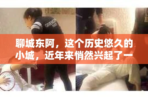 聊城东阿，这个历史悠久的小城，近年来悄然兴起了一股新的服务潮流——私家侦探。今天，我们就来聊聊这个话题，看看在聊城东阿，私家侦探是如何成为人们生活中的一部分的。