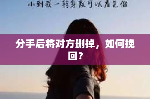 分手后将对方删掉，如何挽回？