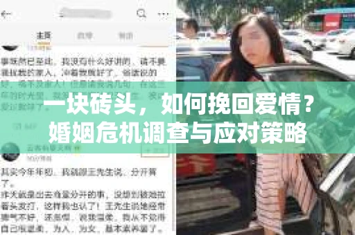 一块砖头，如何挽回爱情？婚姻危机调查与应对策略