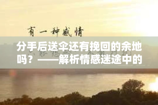 分手后送伞还有挽回的余地吗？——解析情感迷途中的决策