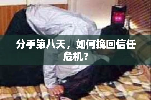 分手第八天，如何挽回信任危机？