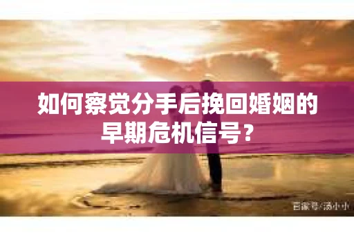 如何察觉分手后挽回婚姻的早期危机信号？
